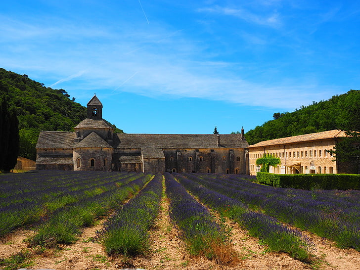 a Abbaye de senanque, kolostor, Abbey, Notre dame de sénanque, a ciszterciek rendje, Gordes, Vaucluse