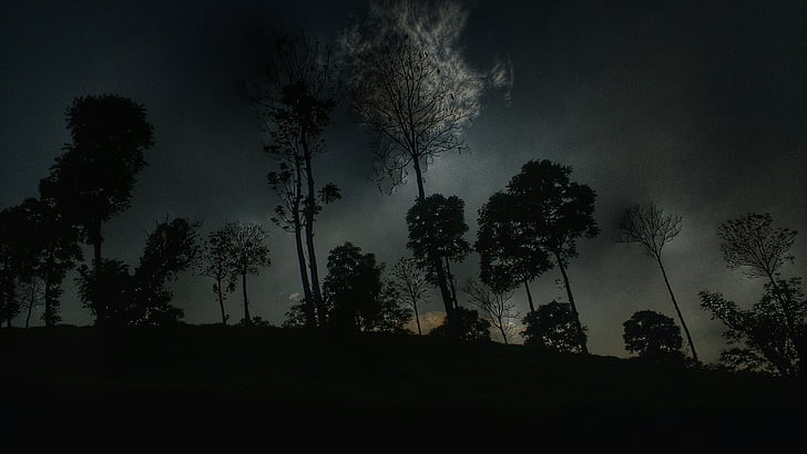 fog, mist, nature, night, silhouette, sky, trees