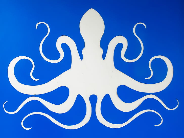 Octopus, criatura del mar, arte de la calle, azul