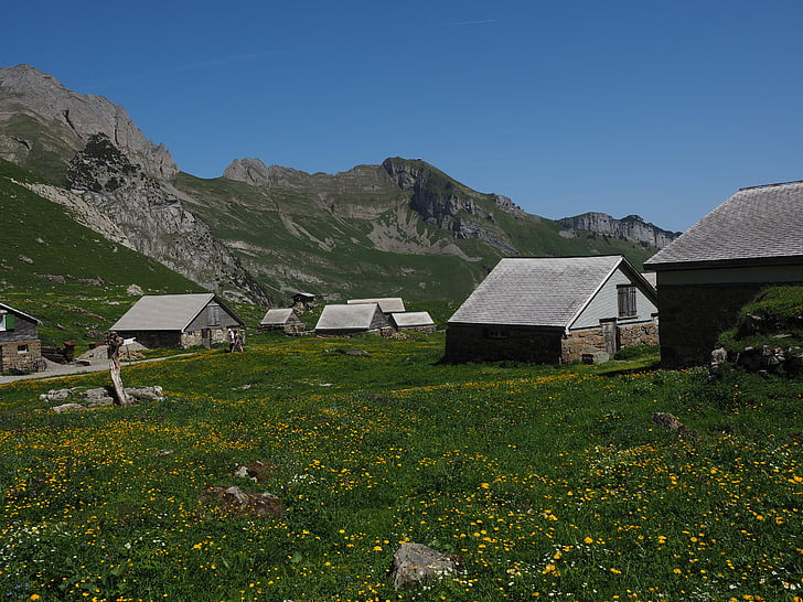 Alpe, ALM, meglisalp, Bergdorf, maisons, village des Alpes, Appenzell
