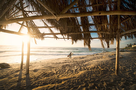 kişi, Holding, sörf tahtası, yakın:, Deniz, gündüz, doğa