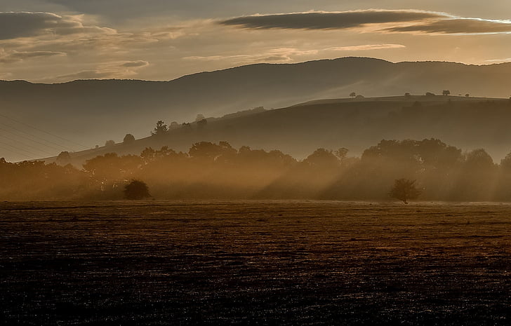 Highland, nature, Dim, rayons, paysage, brouillard, matin