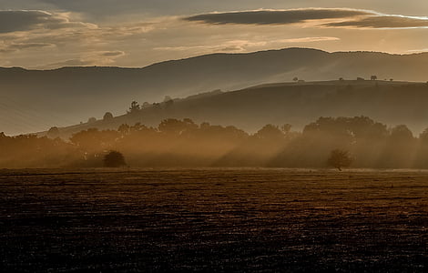 highland, nature, sun, rays, Landscape, Fog, Morning