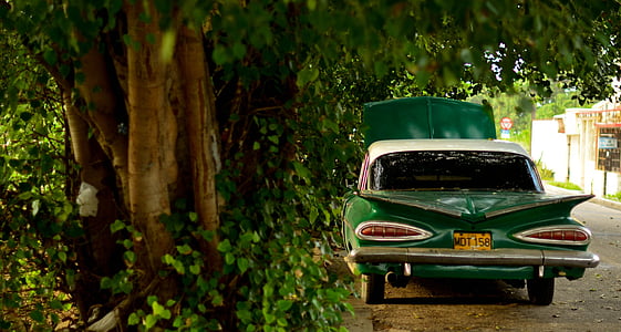 grøn, bil, i nærheden af, træ, dagtimerne, biler, vintage