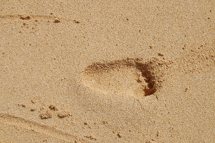 voetafdruk, zand, kind, strand, weinig, tracks, voet