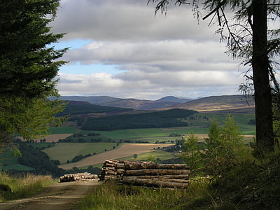 Skócia, táj, hegyi, fák, festői, Highland