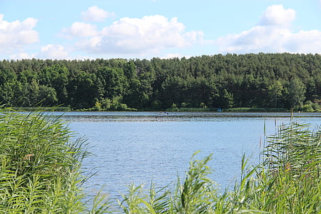Zegrzyński, воды, пейзаж, Польша, Река, Природа, озеро