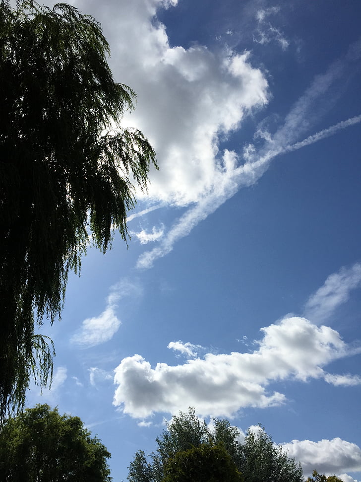 air, clouds, plane, blue sky, cloud, skies, nature