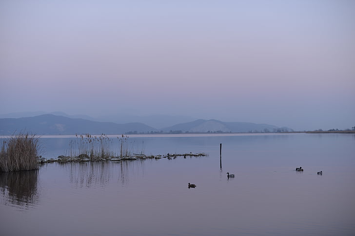 søen, Viareggio, Italien, Toscana, natur, vand, refleksion