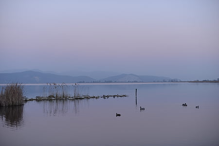 jezero, Viareggio, Itálie, Toskánsko, Příroda, voda, reflexe