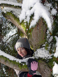 겨울, 눈, 자연, 관목, 전나무, 숲, 프랑스