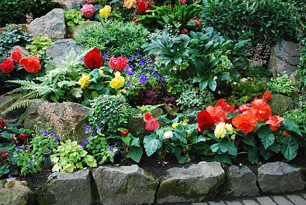 butchart, vrt, Victoria, rastline, narave, Flora, naravne