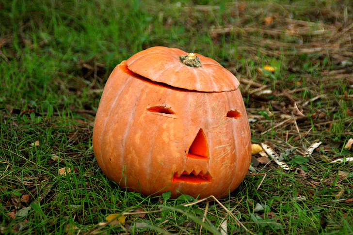 Halloween, pumpa, Orange, skogen, hösten, Horror, orange färg