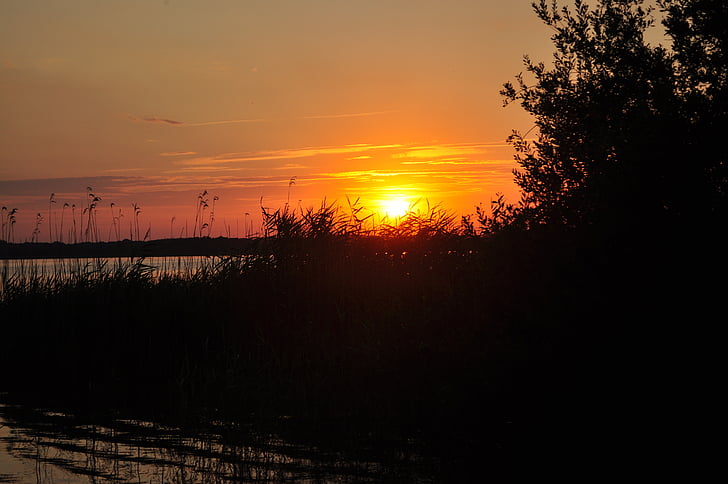puesta de sol, en el lago plauer, abendstimmung, sol, paisaje, nubes