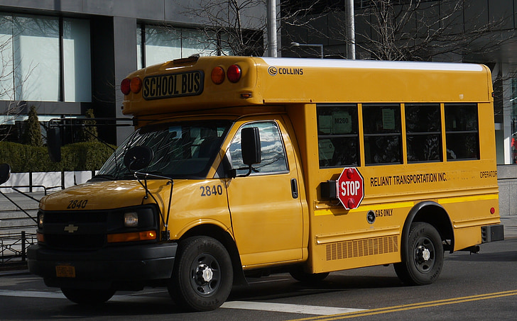 autobuses, autobús escolar, nueva york, carretera, transporte
