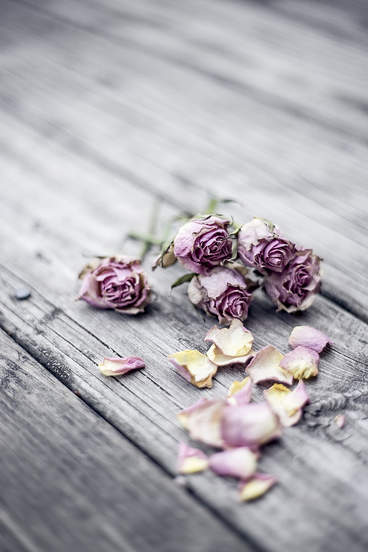 purple, rose, flower, wooden, surface, wood, rose wood