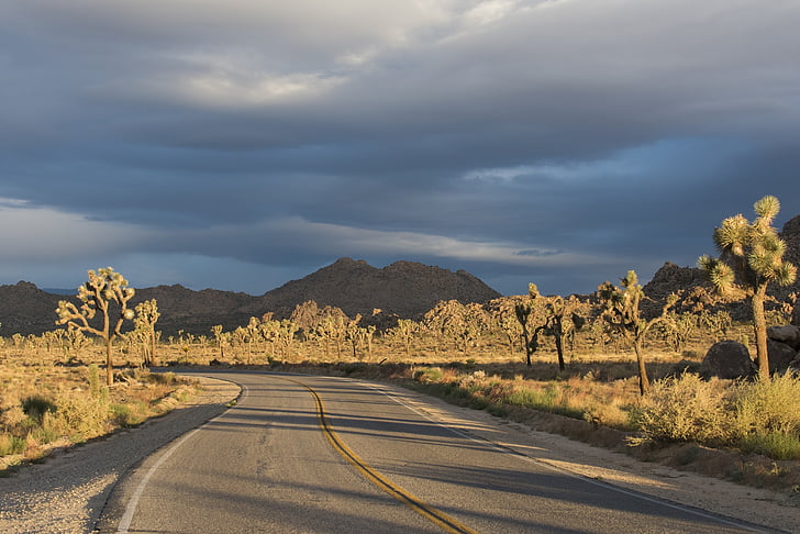 desierto, carretera sinuosa, paisaje, Scenic, naturaleza, montaña, asfalto