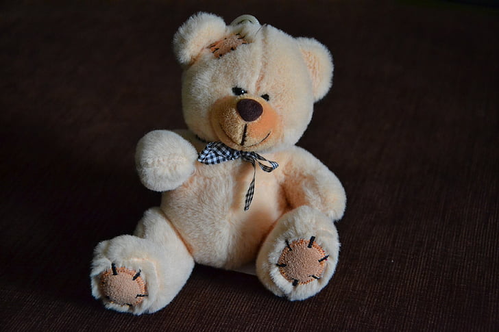Teddybeer, beren, misiak, PLUCHE, speelgoed, speelgoed, Bean bag pluche