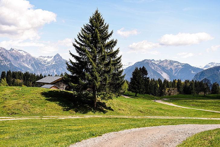 landscape, nature, trail, tree, mountains, sky, mountain