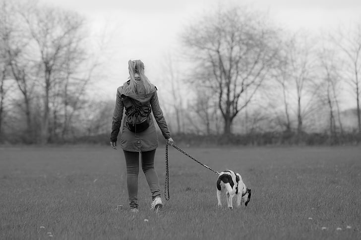 black, white, black and white, animal, dogs, girl, meadow