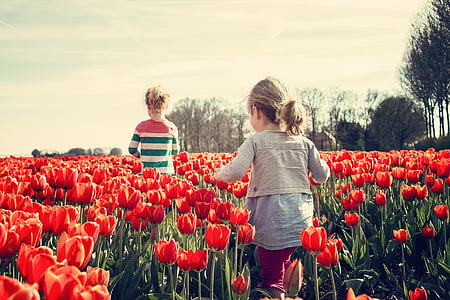 two, kids, running, red, roses, field, flower