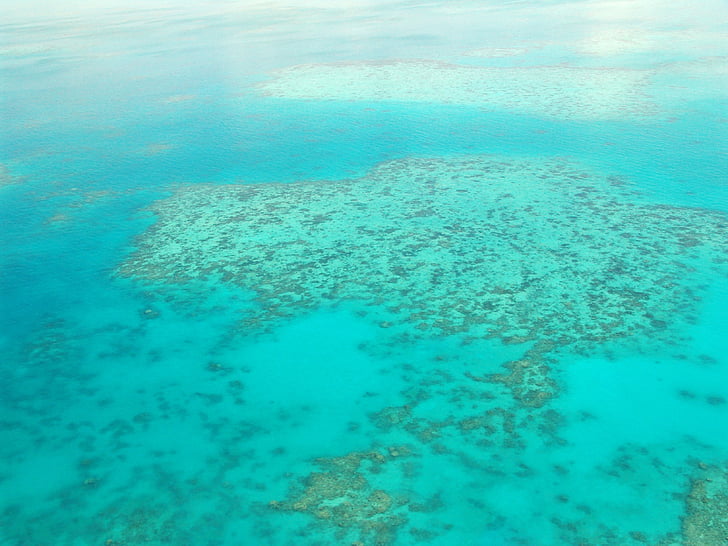 gran barrera de coral, buceo, Coral, Océano, Pacífico, vista aérea, Australia