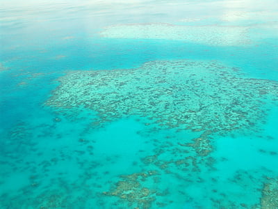 Stora barriärrevet, dykning, Coral, Ocean, Pacific, Flygfoto, Australien