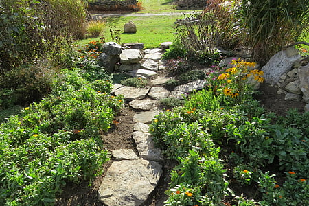 garden, path, country, stone, green, plant, walkway