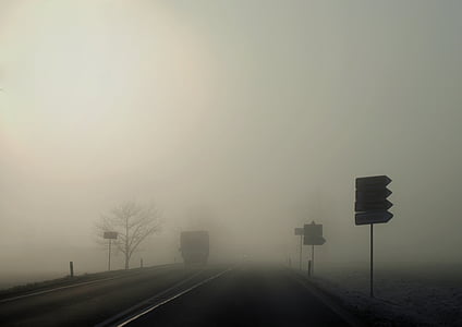 Ráno, mlha, cesta, cesta, ulice