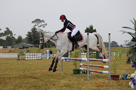 horse jumping, jump, horse, equestrian, rider, sport, competition