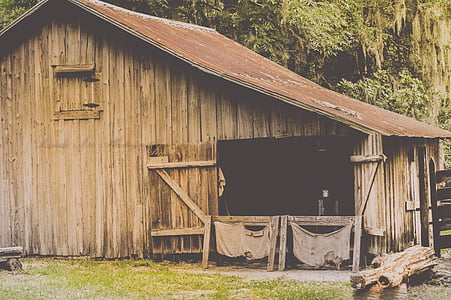 barn, farm, agriculture, rural, country, vintage, organic