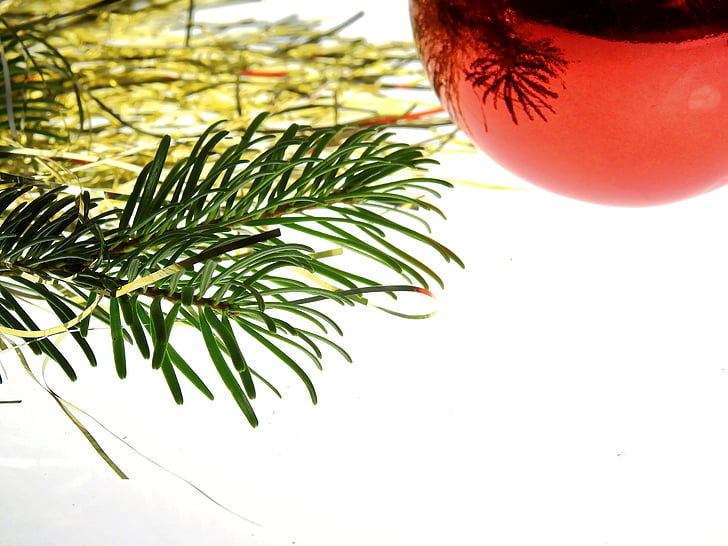 Коледа, Деко, декорация, Адвент, Коледна украса, коледно дърво, Бъдни вечер