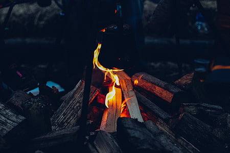 photo, flame, nighttime, bonfire, fire, flames, wood