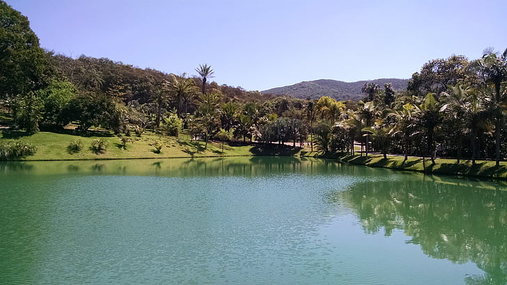 pond, nature, green, vegetation, inhotim, brumadinho, museum