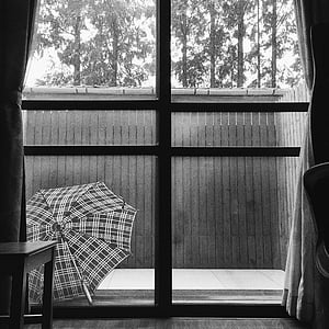 the yard, umbrella, fences, it's raining, home