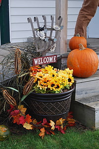 hösten, blommor, dekoration, faller, pumpa
