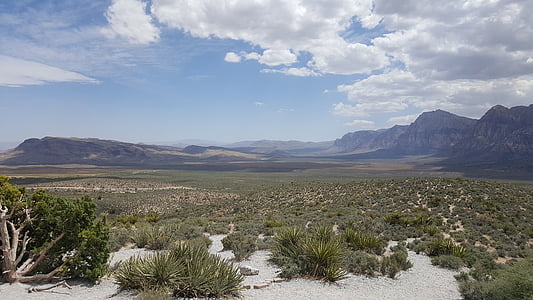 rode rots, Las vegas, Canyon, Nevada, woestijn, natuur, berg