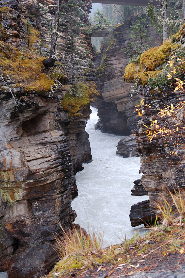 gorge, canyon, stream, river, landscape, wilderness, scenery