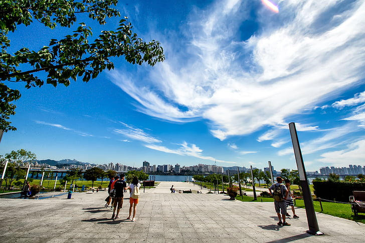 Parque, recreação, ao ar livre, pessoas, caminhando, Seul, yeoido