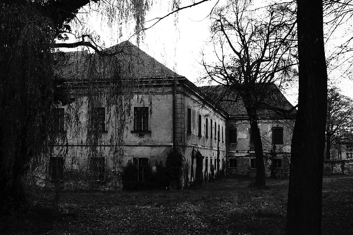 haunted house, old house, home, facade, building, lapsed, leave