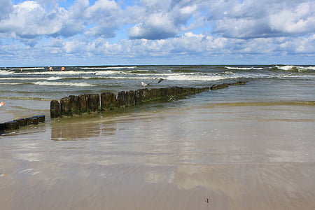 voda, Já?, Baltské moře, Příroda, Racek, obloha, na pobřeží