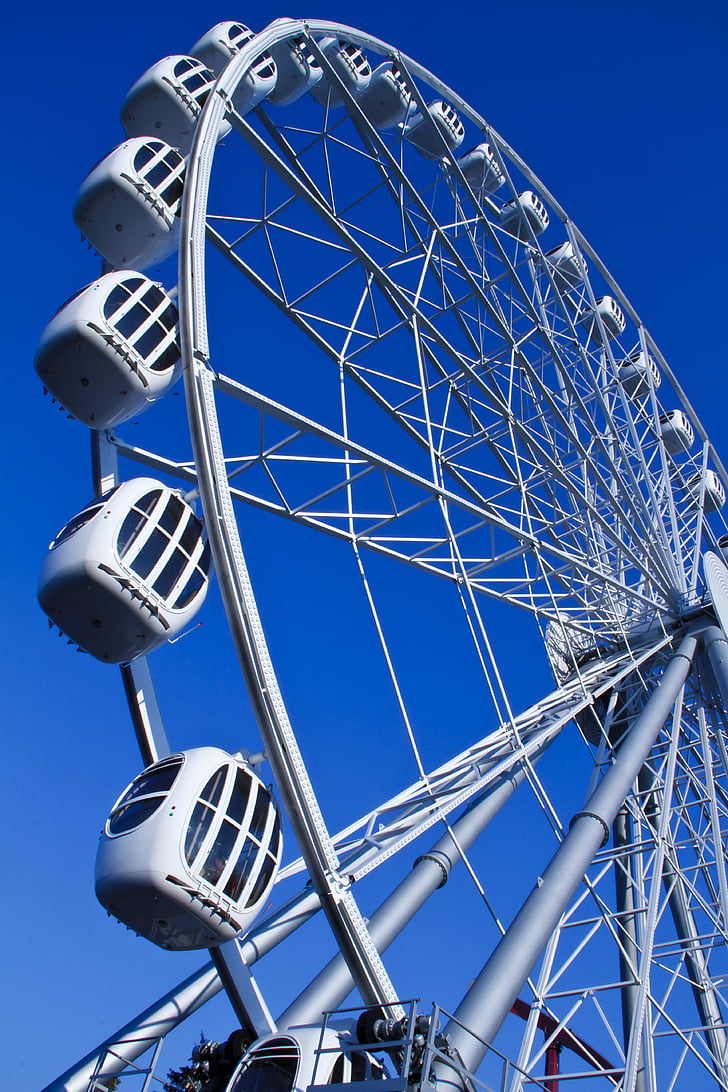 ferris wheel, summer, park, vacation