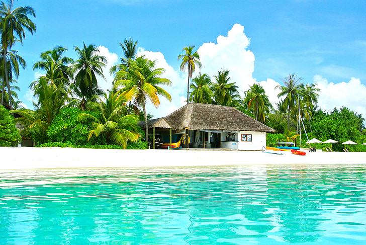 Malediwy, Kokosowe drzewo, morze, Resort, Latem, wakacje, niebo