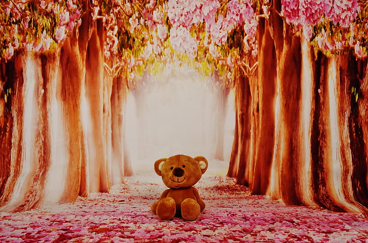 Teddy, bosque, árboles, juguete de peluche, animal de peluche, lindo, juguetes de los niños