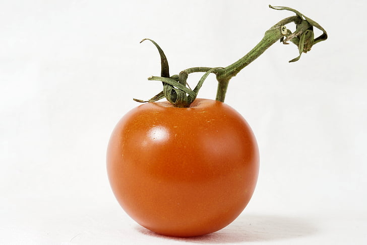 tomate, brousse tomate, panicule, nachtschattengewächs, légumes, jardin, alimentaire