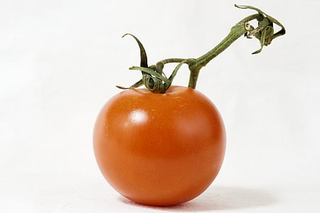 tomat, Bush tomat, vippans, nachtschattengewächs, grönsaker, trädgård, mat