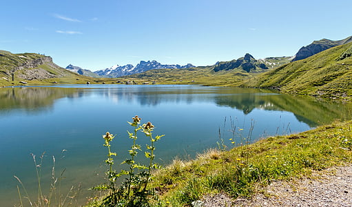 Suiza, montañas, Bergsee, Melchsee, Lago, naturaleza, montaña