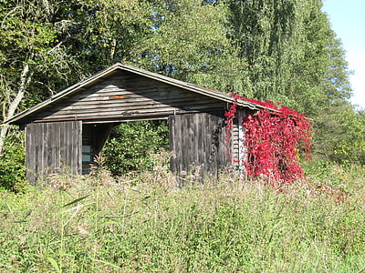 stodola, podzim, břečťan, krajina, idyla, staré