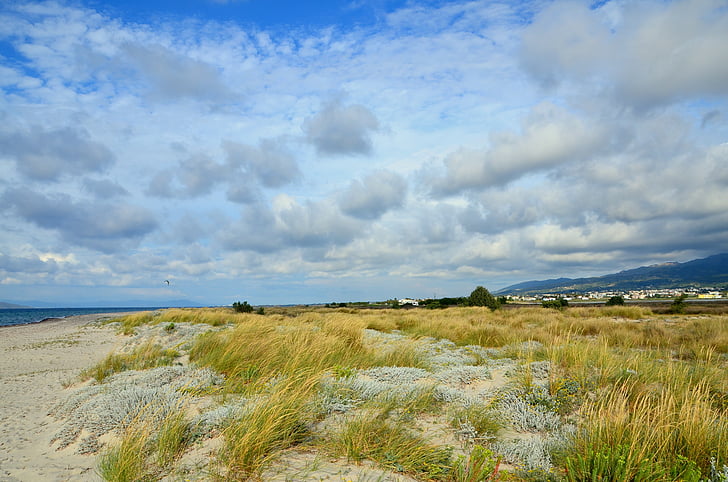 the dynamics of, view, clouds, summer, wind, nature, grass
