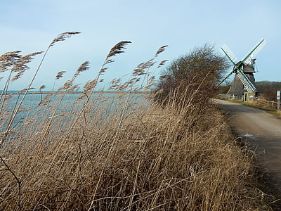geltinger bakshi, molen charlotte, reed, Baltische Zee, natuurreservaat, geltinger noor, visserij landschap